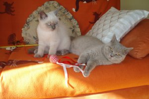 chłopczyk i dziewczynka